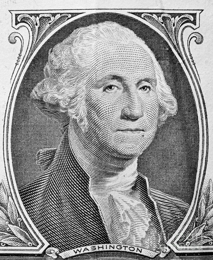 George Washington portrait on one dollar bill Photograph by Michal Bednarek
