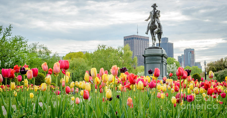 George Washington Statue Boston Public Garden Photograph