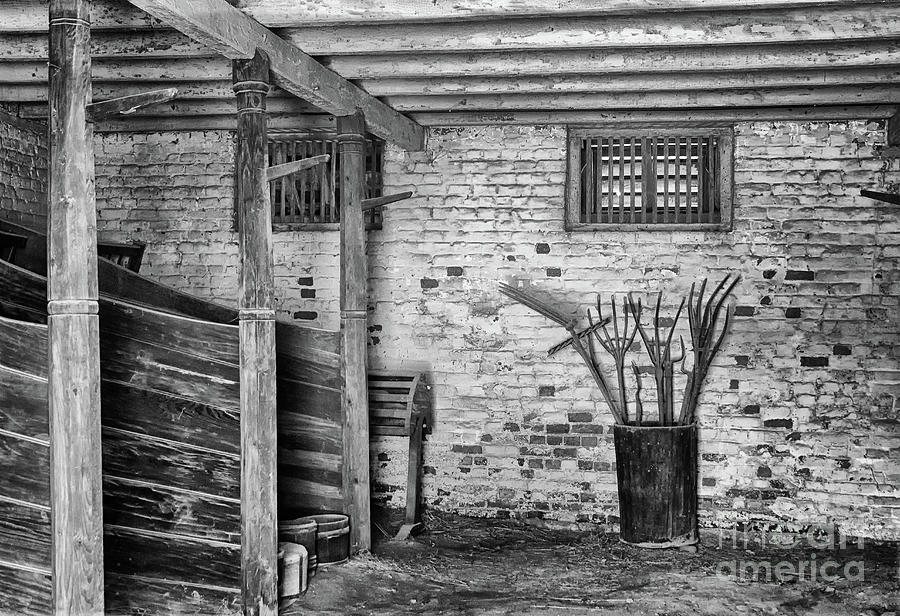 Georges Horse Barn Black and White Photograph by Karen Adams