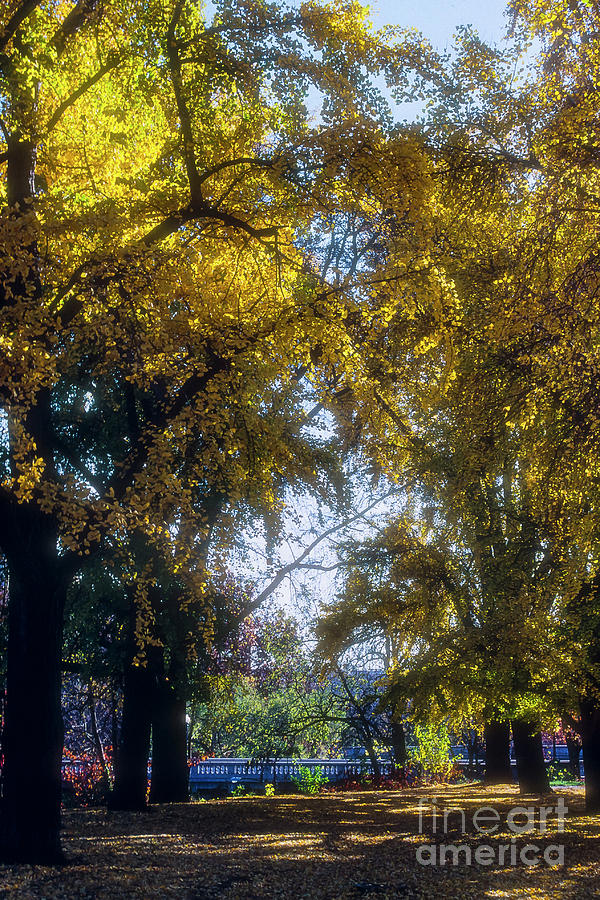 Fall Colors Photograph by Bob Phillips Fine Art America