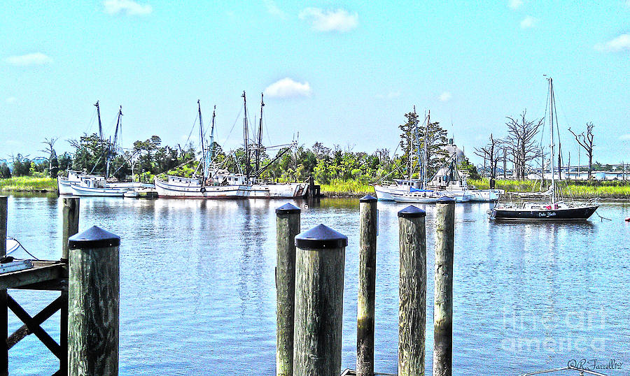 Georgetown Harbor Photograph by Rod Farrell
