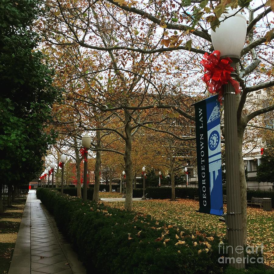 Georgetown Law Holiday Photograph by Jost Houk