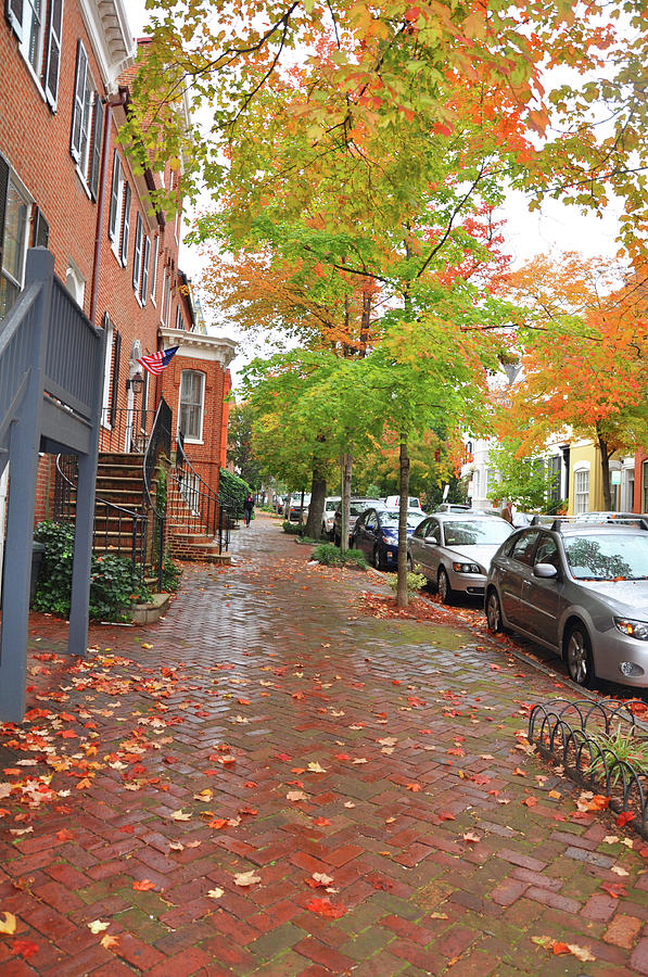 Georgetown Street In Fall Photograph by Brittany Horton - Fine Art America