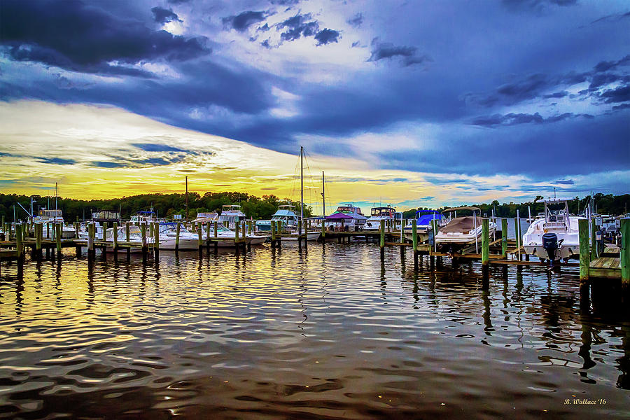 Georgetown Yacht Basin Photograph by Brian Wallace