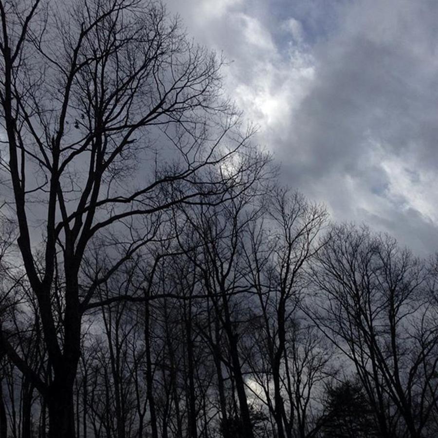 Georgia December Sky Photograph by Daniel Eskridge - Fine Art America