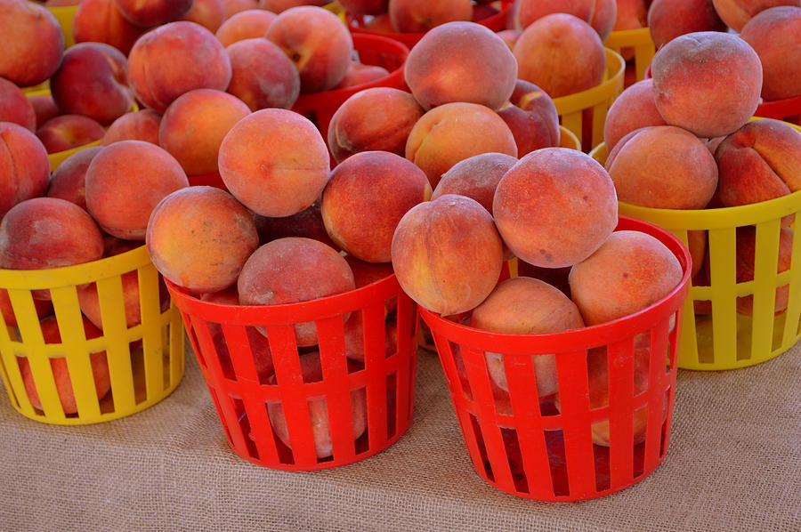 Georgia Peaches Photograph By Linda Covino 