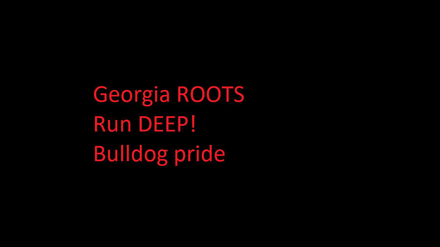 Georgia Photograph - Georgia Roots by Aaron Martens