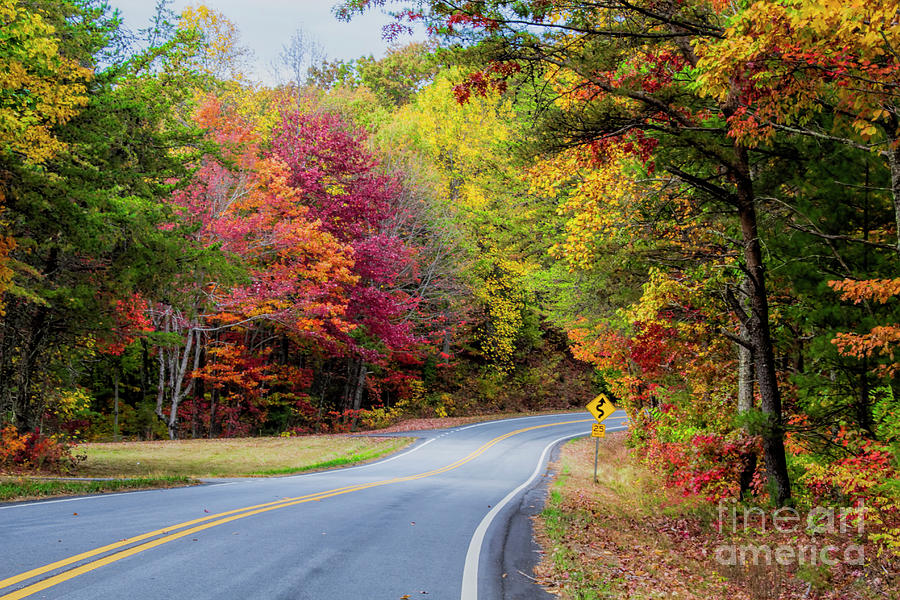 Fall Photograph - Georgia Scenic Byway by Barbara Bowen