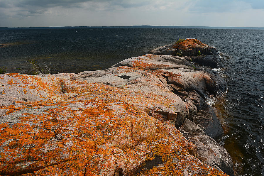 Georgian Bay rocks lichen-3675 Photograph by Steve Somerville