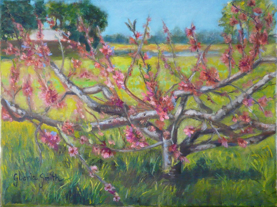 Tree Painting - Georgias  Finest by Gloria Smith