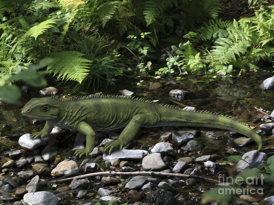 Gephyrosaurus Is An Extinct Animal Digital Art