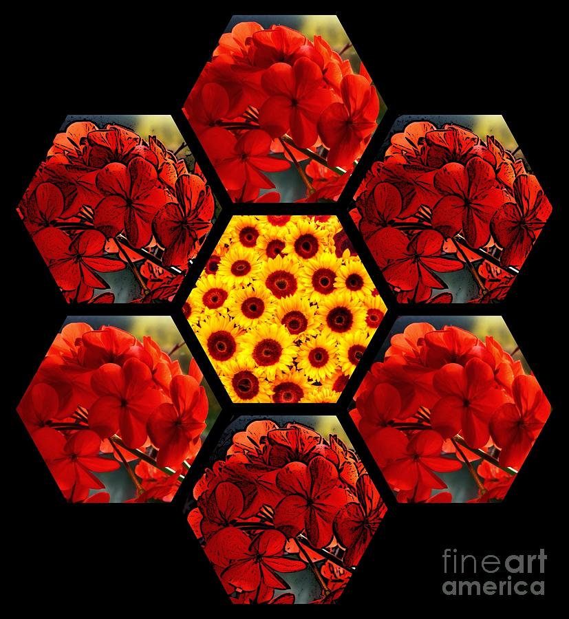 Geranium and Sunflower flower Design Photograph by Joan-Violet Stretch