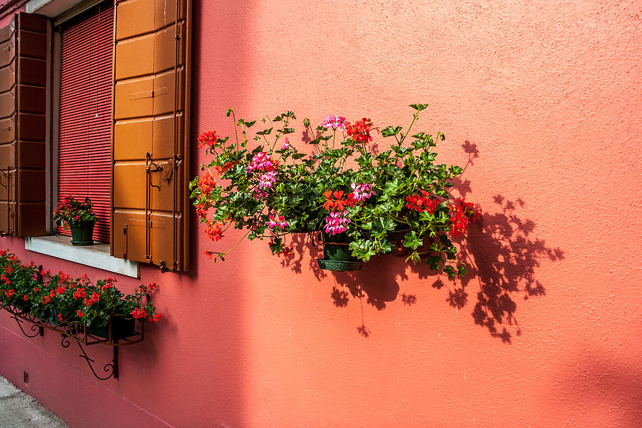 Architecture Photograph - Geranium and Window by Peter Tellone