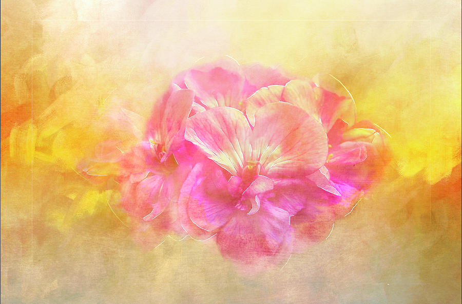 Geranium Bouquet Digital Art by Terry Davis - Fine Art America