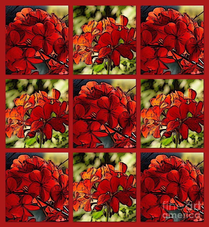 Geranium Flower Collage Photograph by Joan-Violet Stretch