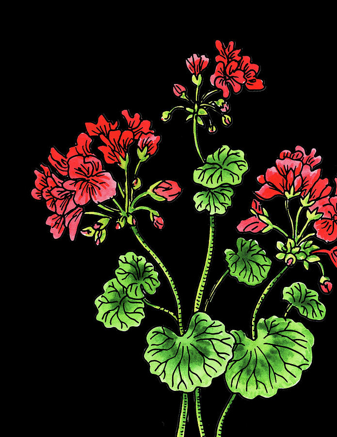 Geranium Flower Watercolour  Painting by Irina Sztukowski