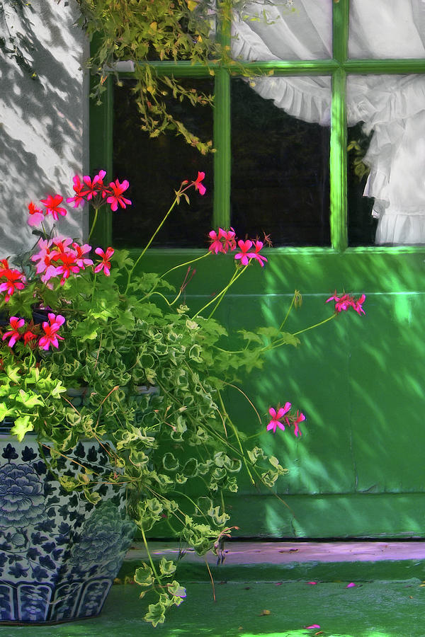 Geraniums and Green Door with Curtain Photograph by Nikolyn McDonald