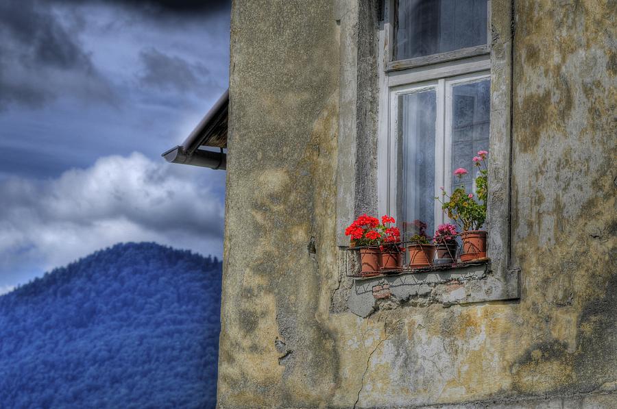 Geraniums in the Window Photograph by Don Wolf