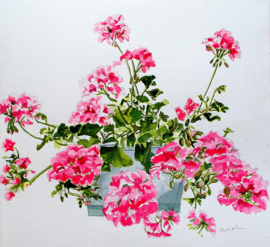 Geraniums Painting by Nicole Curreri - Fine Art America