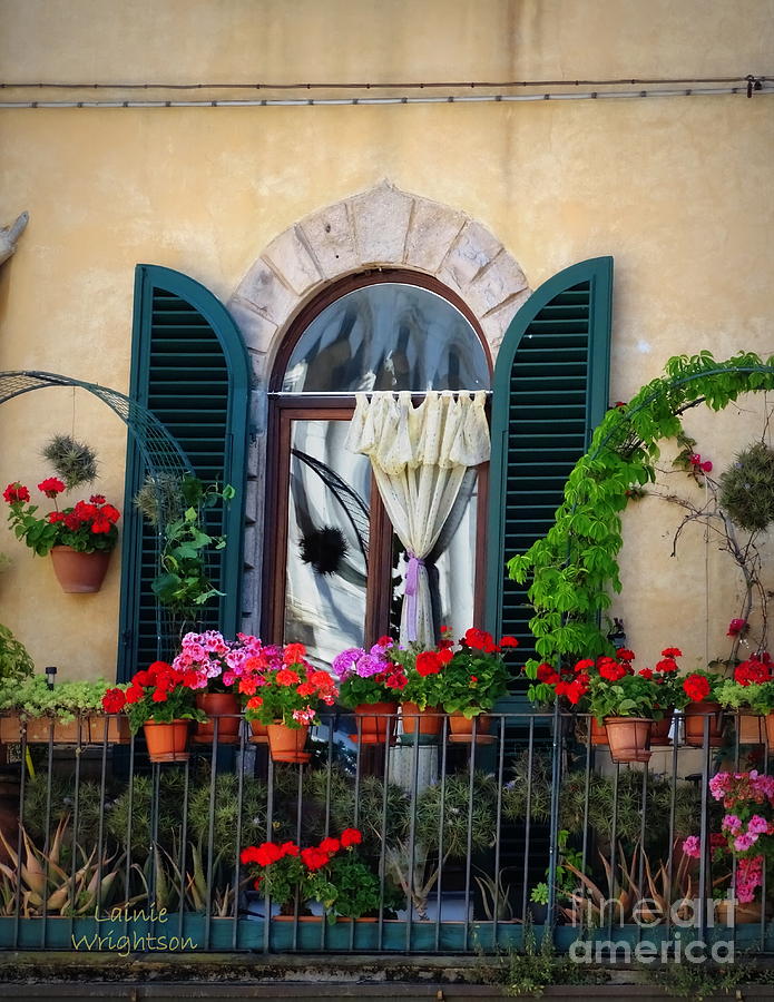 Geraniums on a Tuscan Terrace Photograph by Lainie Wrightson