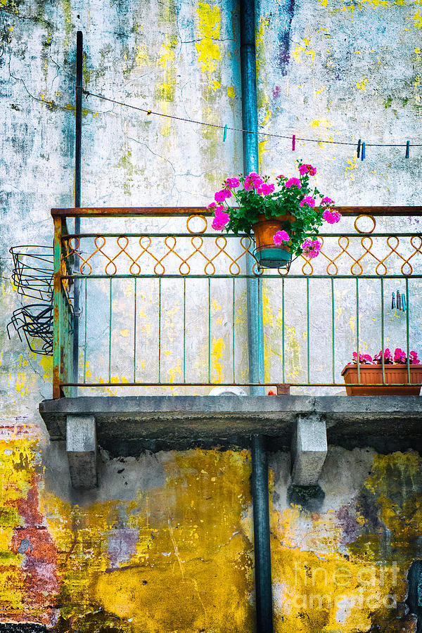Geraniums on old balcony    Photograph by Silvia Ganora