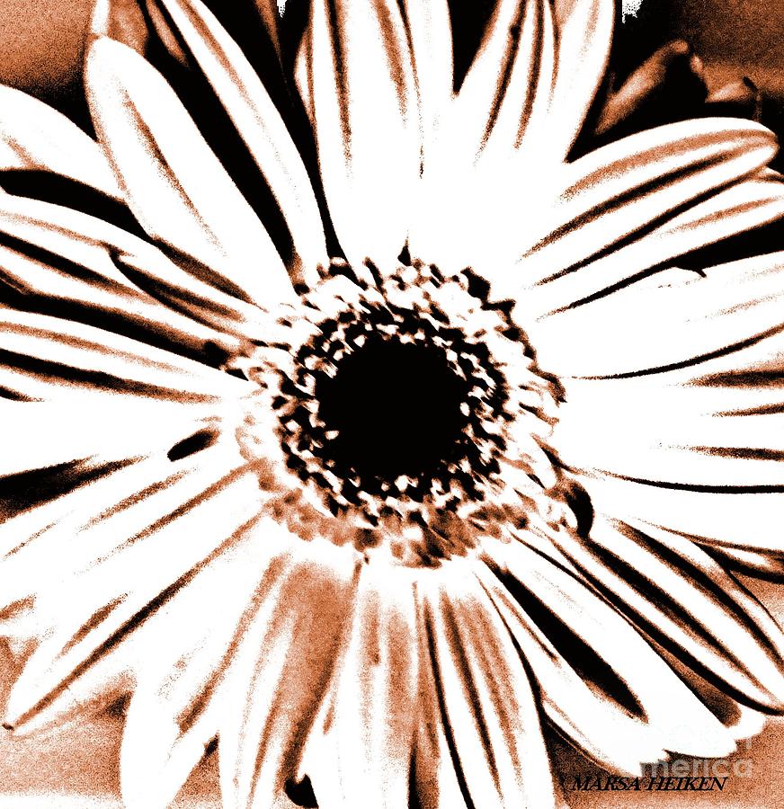 Gerber Abstract Flower Daisy Digital Art by Marsha Heiken