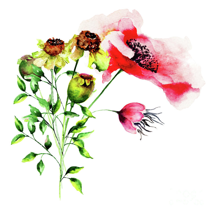 Gerber and Poppy flowers Painting by Regina Jershova