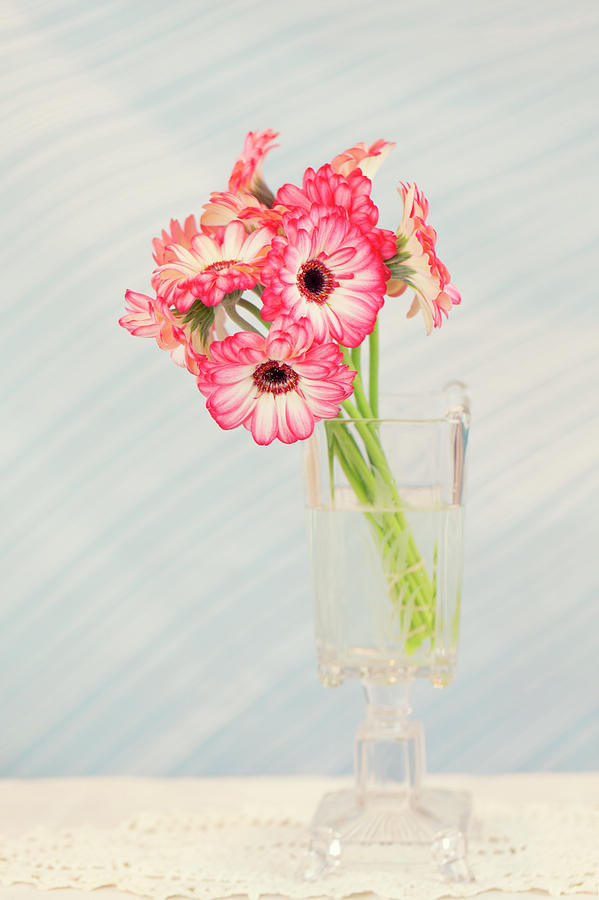 Gerbera Daisies in Footed Vase Photograph by Susan Gary
