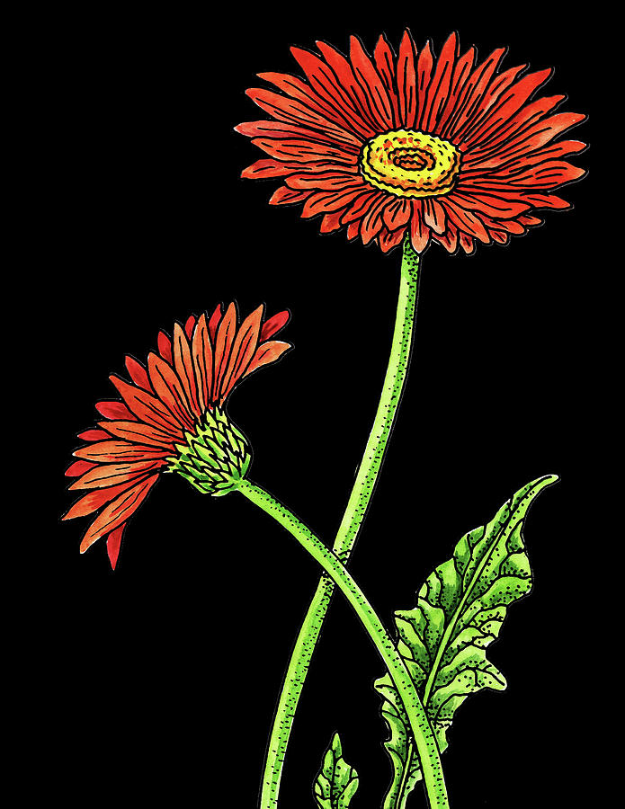 Gerbera Daisy Flowers Watercolour Painting