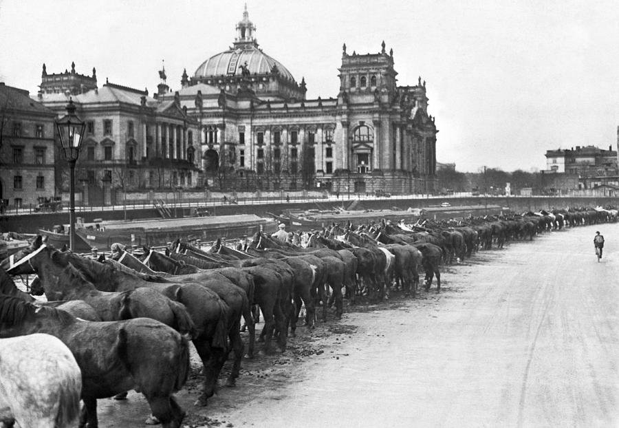 German Horse Inspection Photograph by Underwood Archives