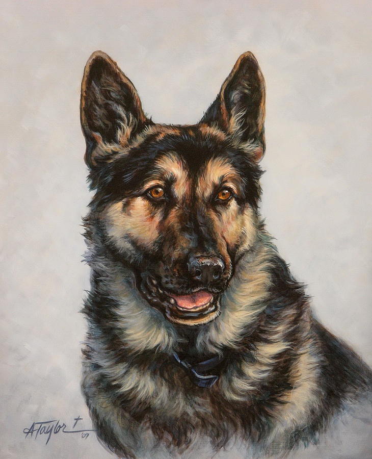 German Shepherd by Alice Taylor