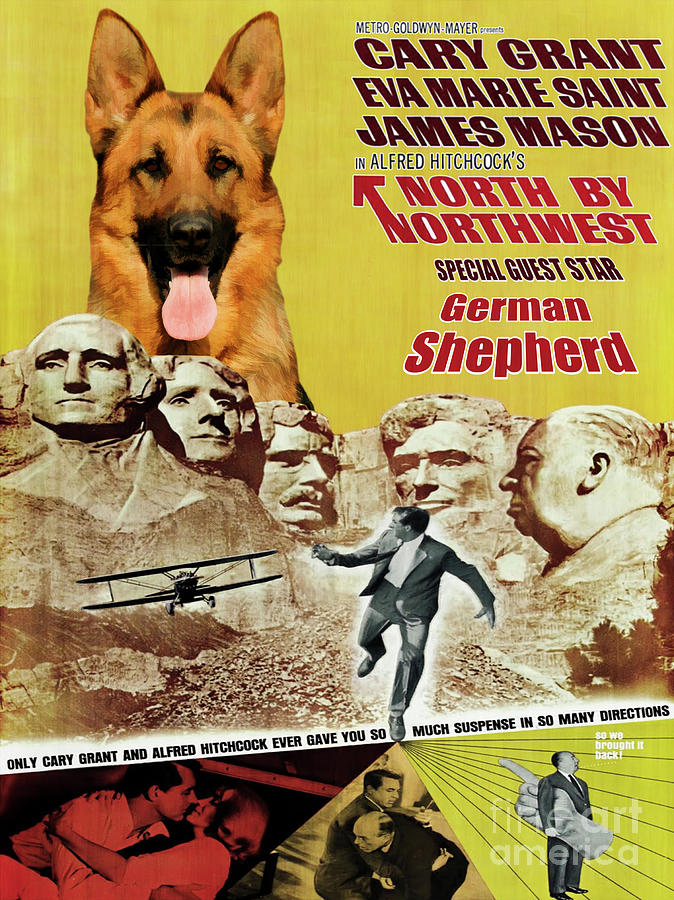 German Shepherd Art Canvas Print - North By Northwest Movie Poster Painting by Sandra Sij