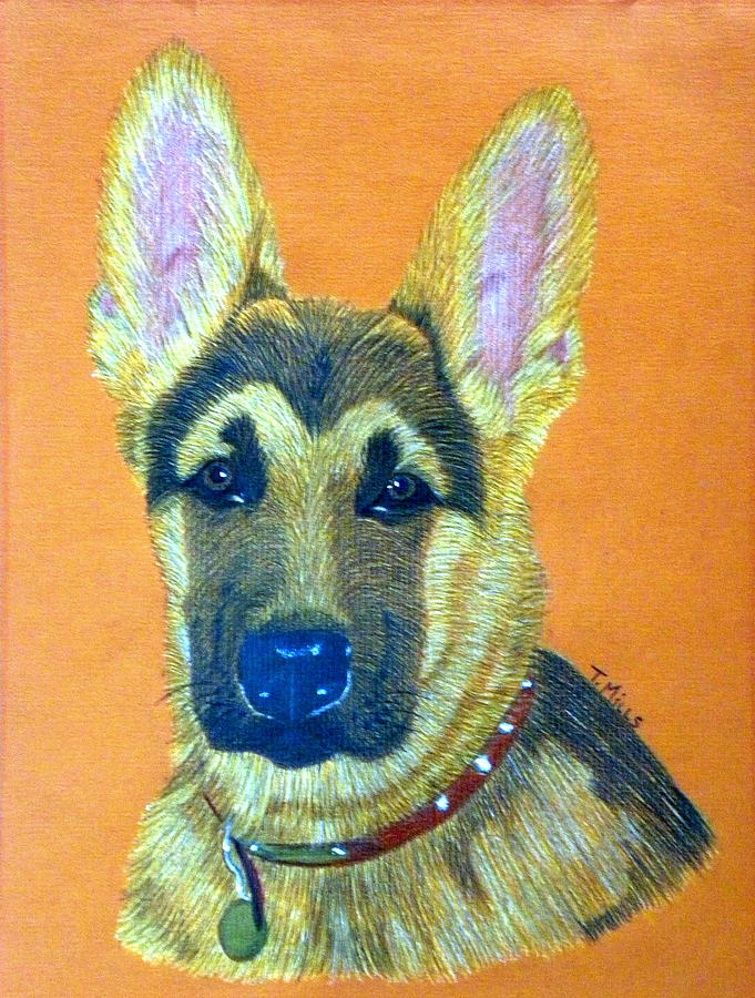 Dog Drawing - German Shepherd Dog by Terri Mills