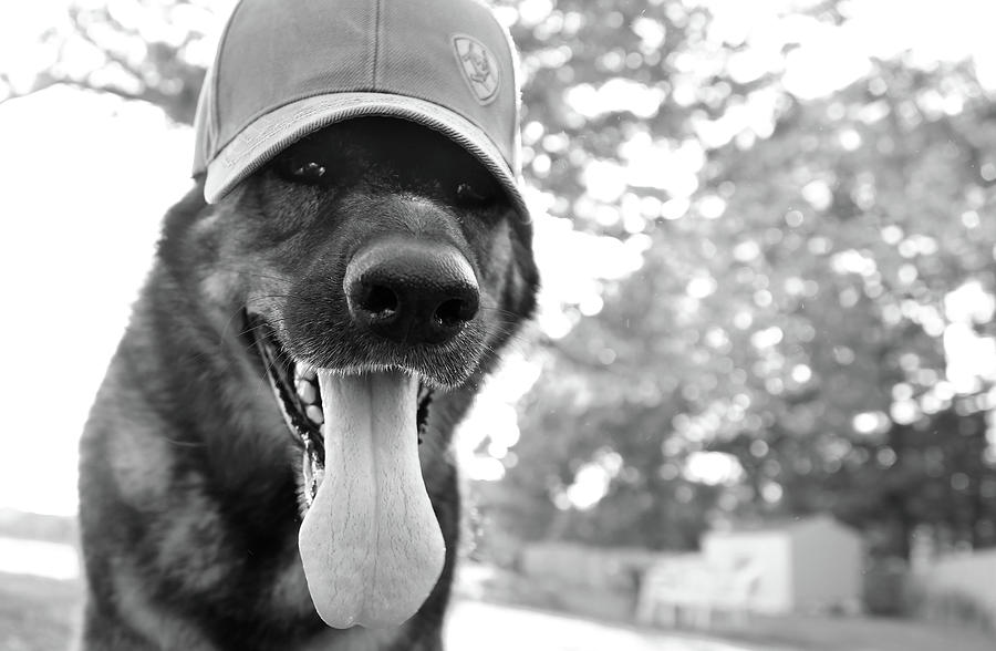 Maggie May in a Trucker Hat Photograph by Stamp City