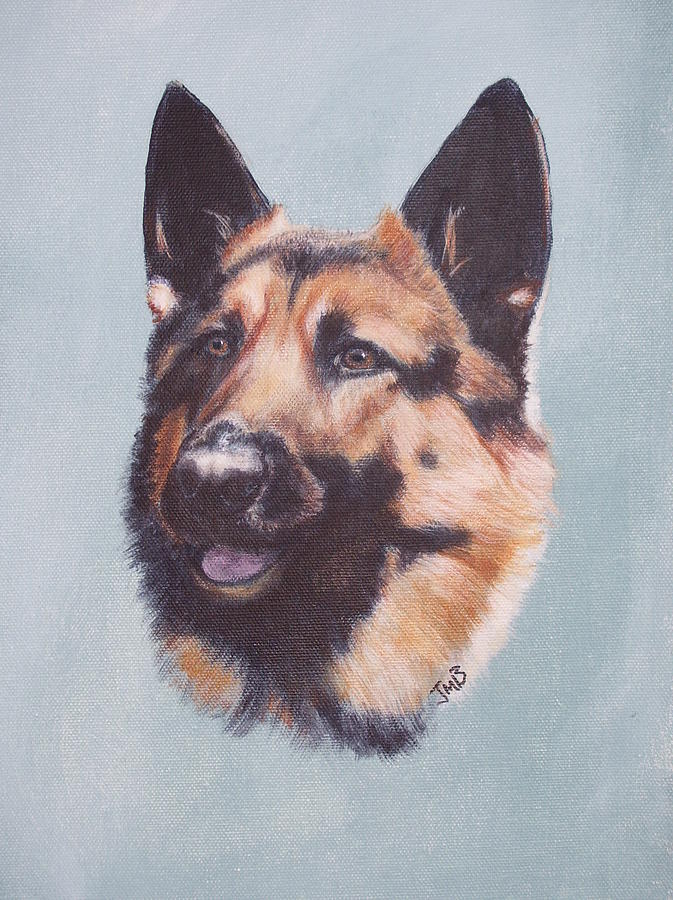 Dog Painting - German Shepherd  by Janice M Booth