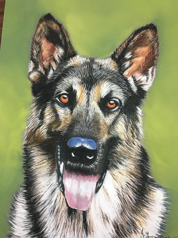 German Shepherd Painting By Joan Koser Fine Art America   German Shepherd Joan Koser 