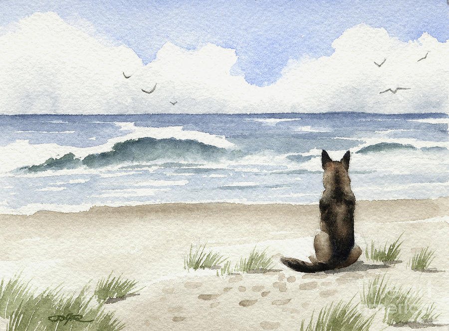 German Shepherd on the Beach Painting by David Rogers