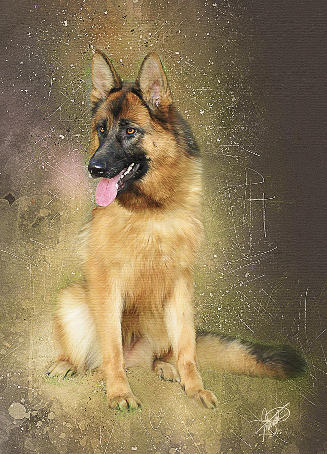 German Shepherd Digital Art by Tom Schmidt