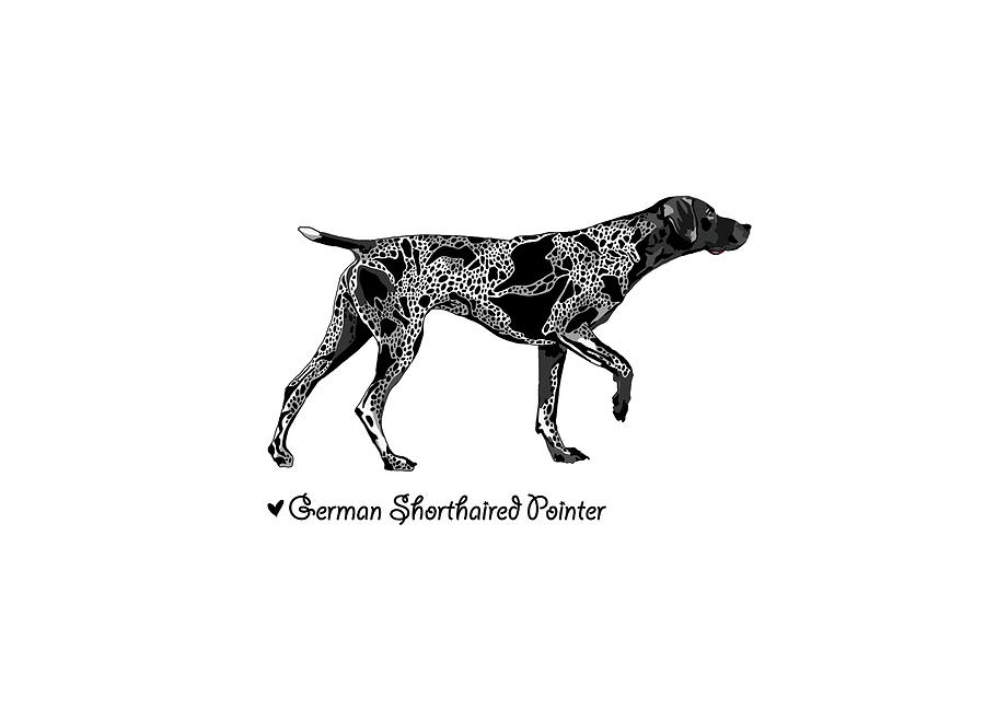German Shorthaired Pointer Illustration Drawing by Art By Alina Fine
