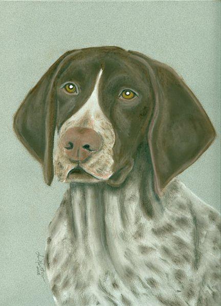 German Shorthaired Pointer Painting by Linda Henthorn