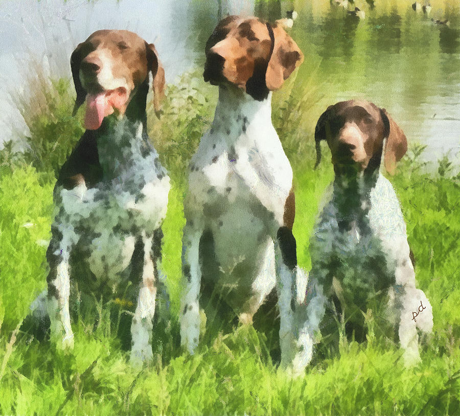 German Shorthaired Pointer Trio Painting by Doggy Lips