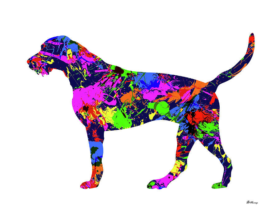 German Wirehaired Pointer Paint Splatter Digital Art by Gregory Murray