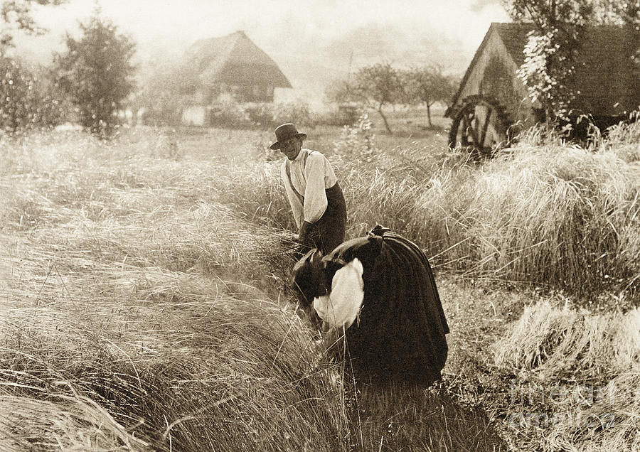 Germany, Black Forest, 1894.  Photograph by Granger