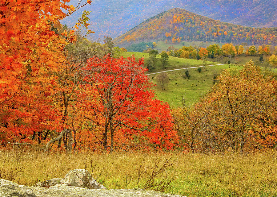 Germany Valley Dressed in Autumn by Jaki Miller Germany Valley Dressed in Autumn by Jaki Miller