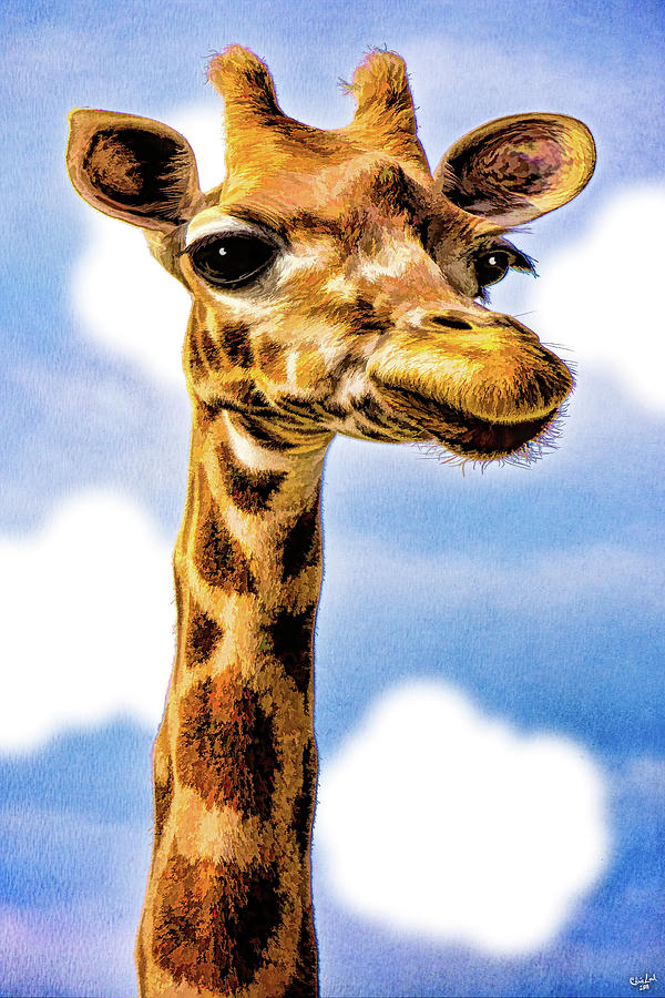 Giraffe Photograph - Gertie by Chris Lord