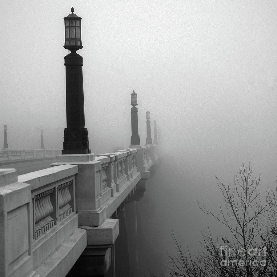 Tool Photograph - Gervais St. Bridge by Skip Willits