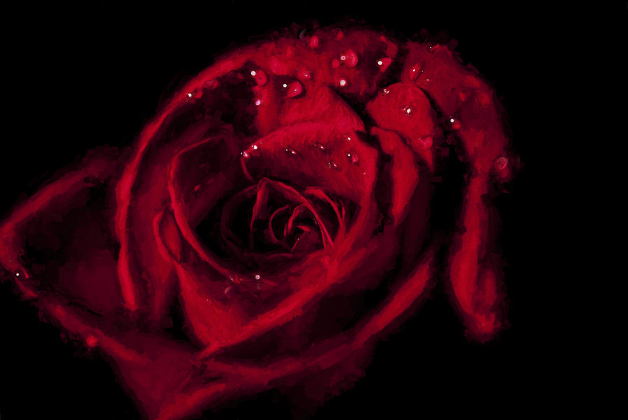 Flower Digital Art - Get Red II by Jon Glaser