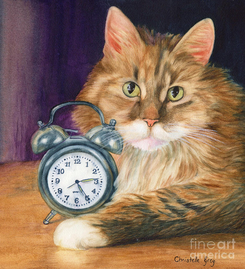 Cat Painting - Wake Up and Feed Me by Christelle Grey