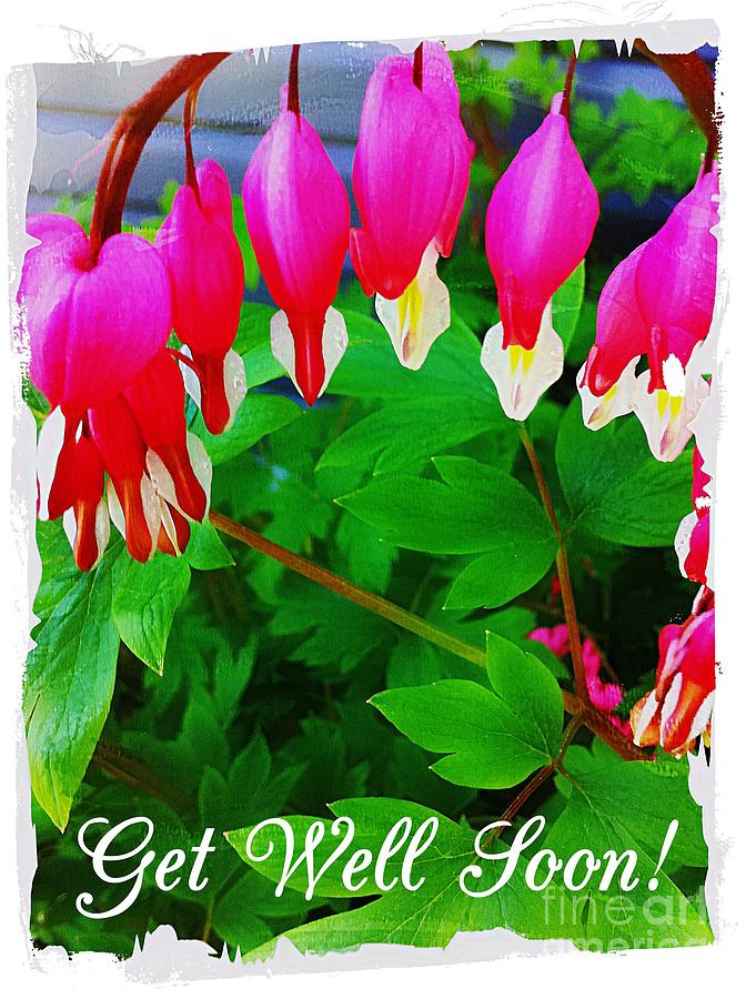 Get Well Soon Hearts Photograph by Barbara A Griffin