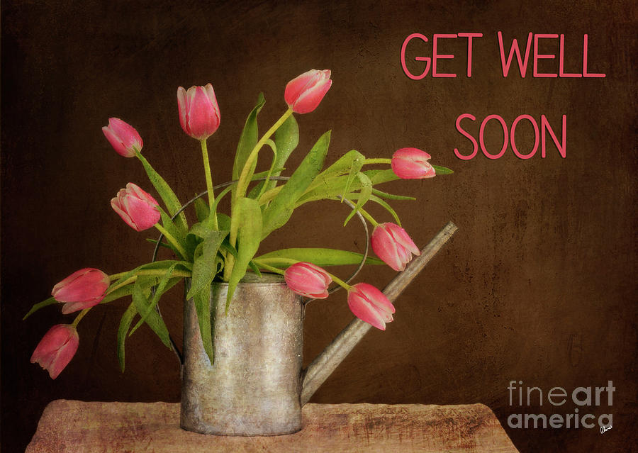 Get Well Soon - Pink Tulips Photograph by Alana Ranney